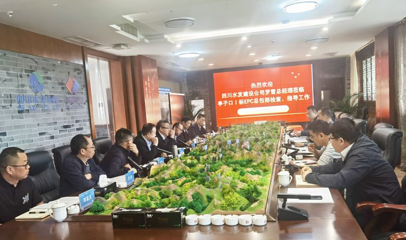 公司總經(jīng)理羅雪率隊(duì)赴亭子口項(xiàng)目開(kāi)展汛前安全檢查