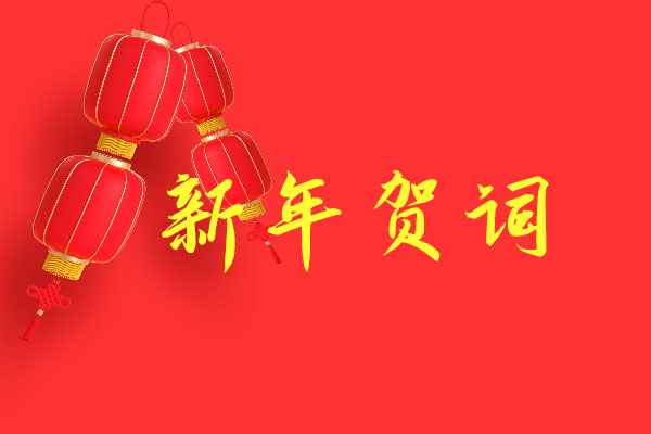 勇立潮頭，乘勢而上 奮力開創公司高質量發展新局面——2025年新年賀詞